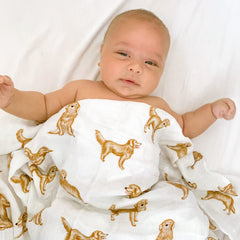 LifeTree swaddle design golden retriever close-up illustrates a playful baby gift for dog-loving families.