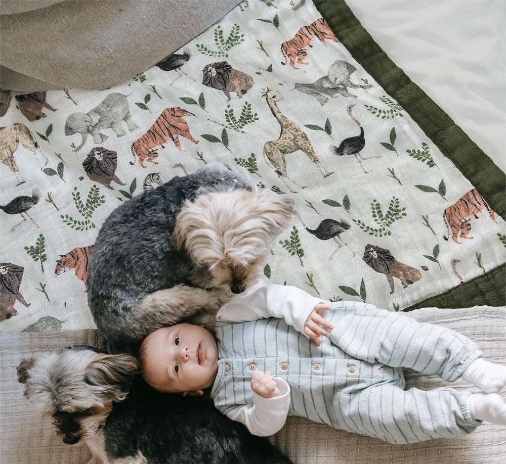Little Jump Muslin Quilt stroller ride demonstrates portable warmth