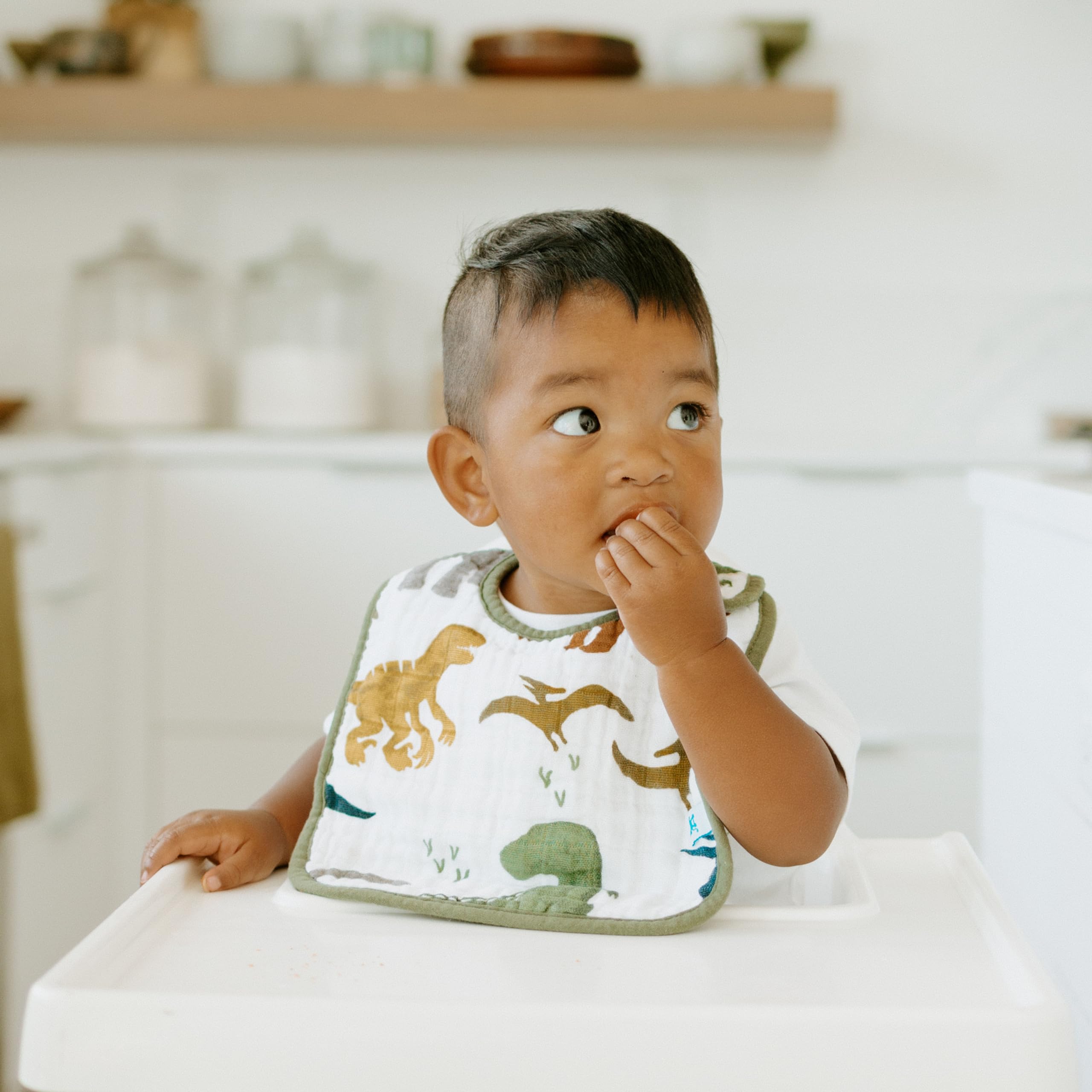 Little Unicorn Premium Classic Bib Dino Friends 2 earth-tone-patterns suit nursery styling and coordination.
