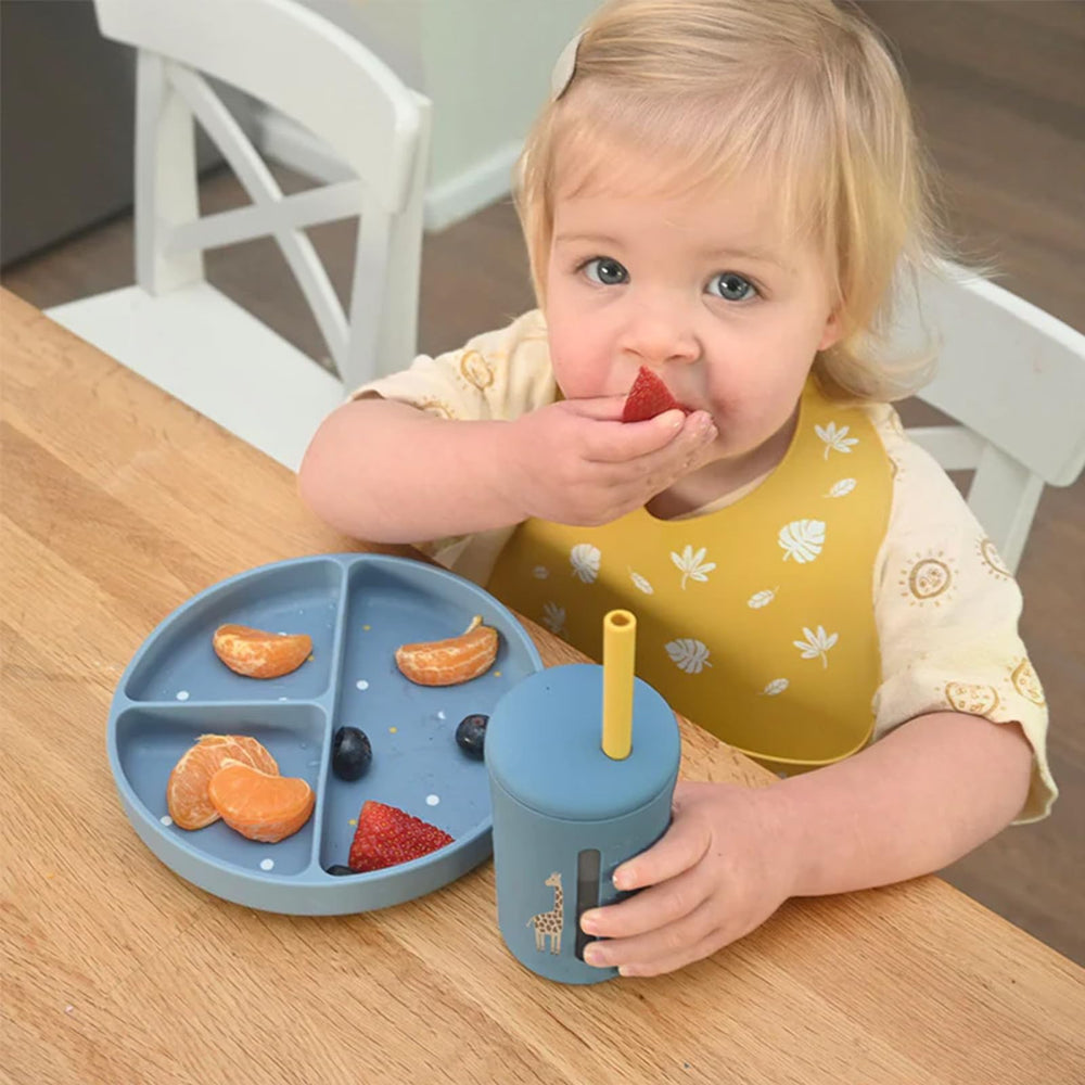 Little Rawr two-sets-included bibs offer versatile cleanup options.