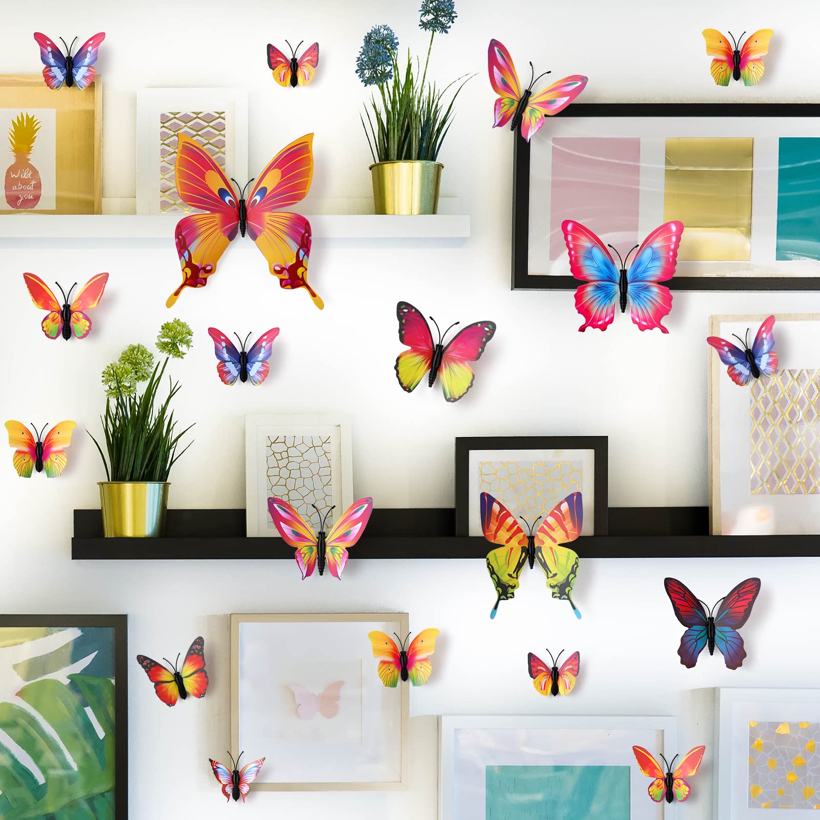 LiveGallery butterfly packaging includes foam adhesive for easy mounting.