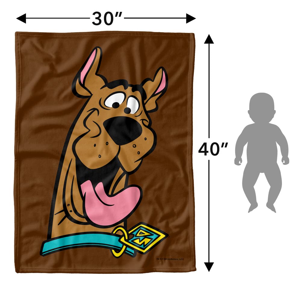 LOGOVISION Scooby Doo lightweight baby blanket gift-ready design for holidays.
