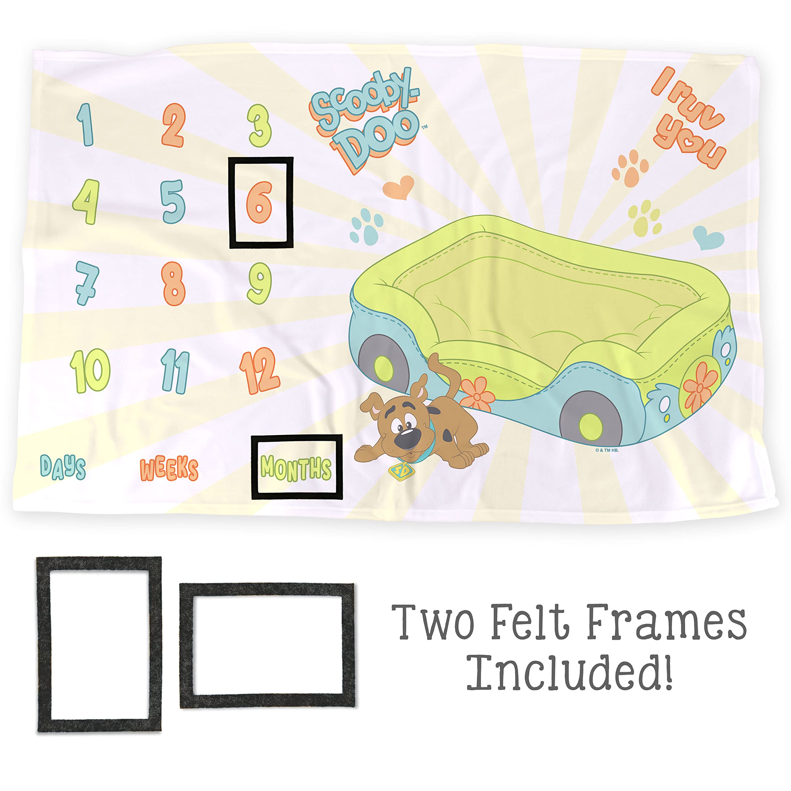 LOGOVISION Scooby-Doo milestone blanket 36x58 provides spacious photo layouts