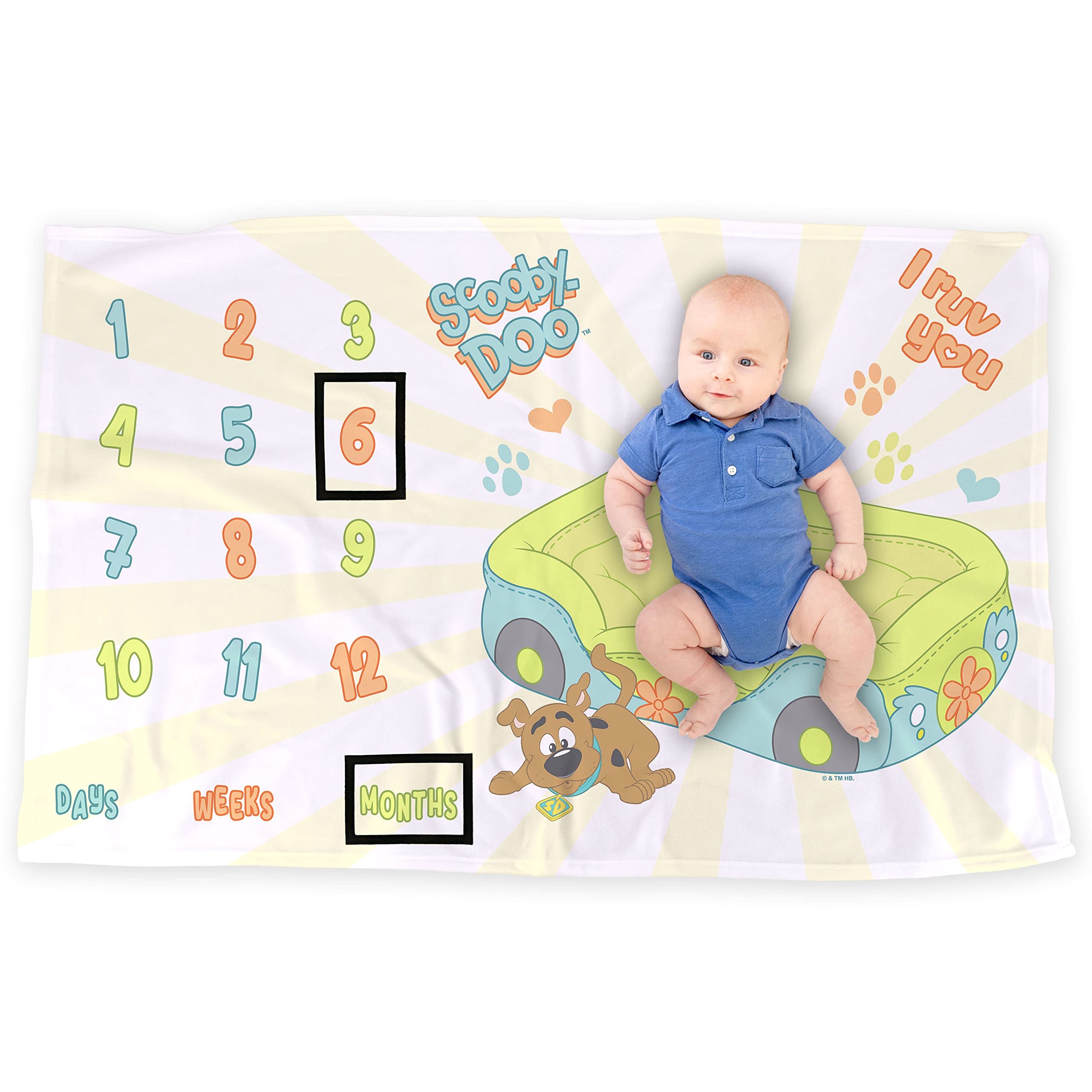 LOGOVISION Scooby-Doo milestone blanket backdrop for adorable growth photos