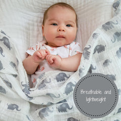 LollyBanks swaddle in stroller setup illustrating on-the-go comfort for baby.