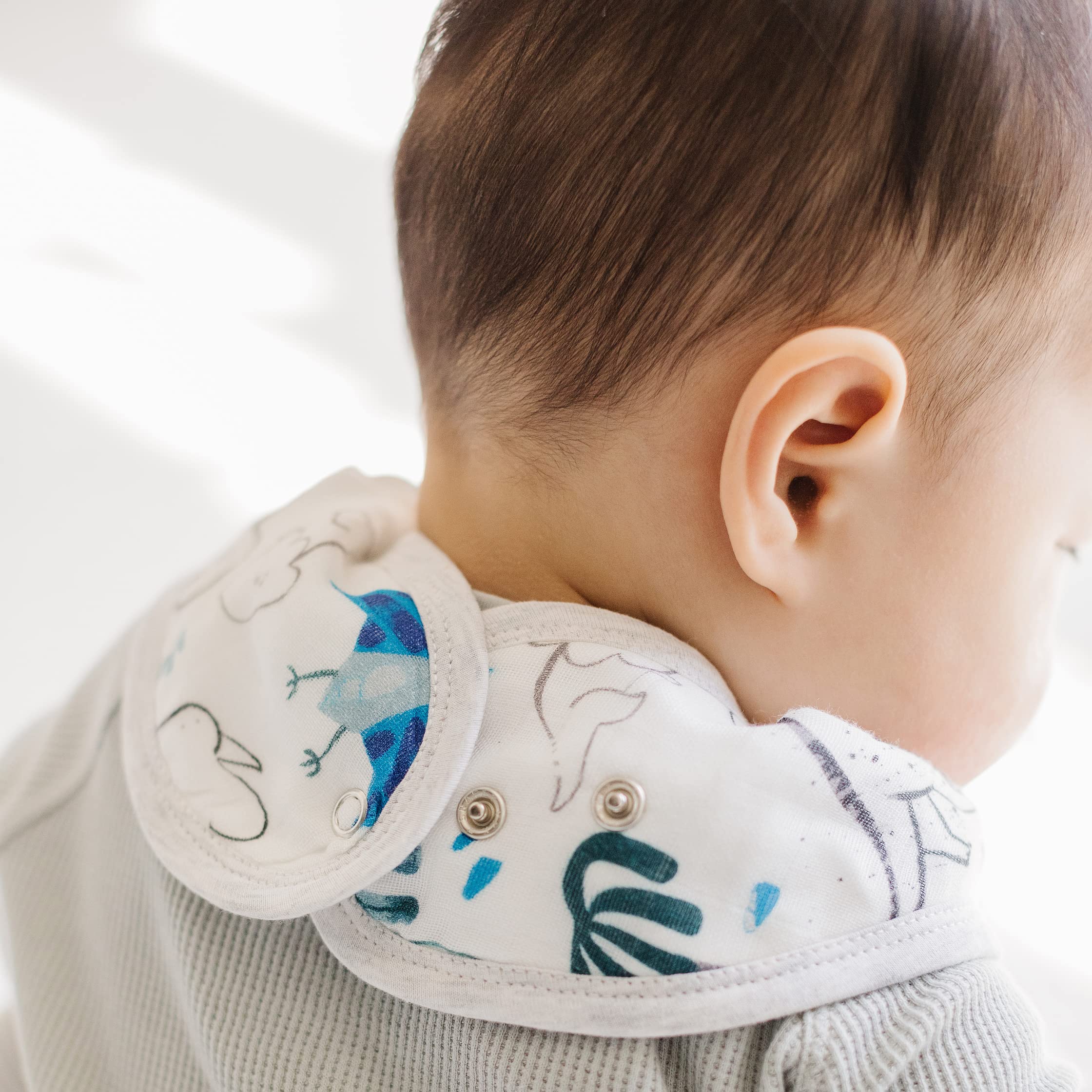 Loulou Lollipop two-pack display showing dinosaurs bibs ready for teething and drool