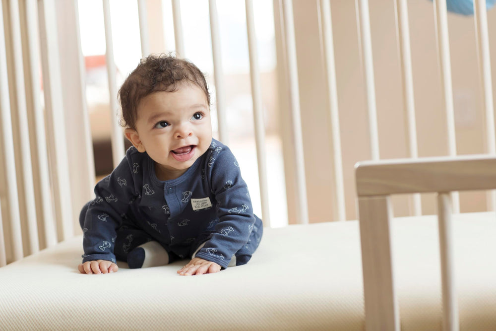 Lullaby Earth Naturepedic crib mattress cover mess protection keeps the surface clean