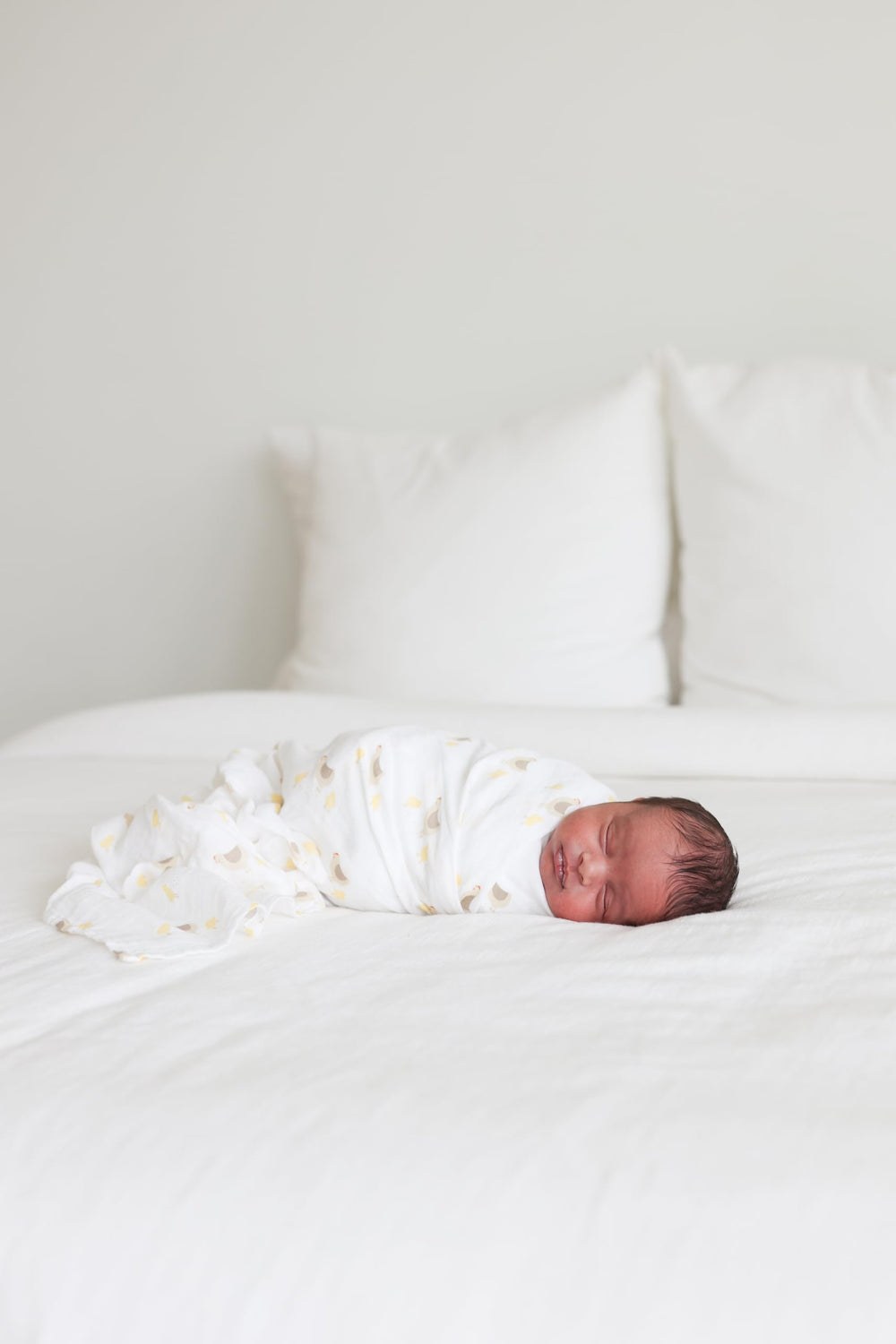 Lulujo Baby Swaddle 2-Pack packaging image shows value bundle.
