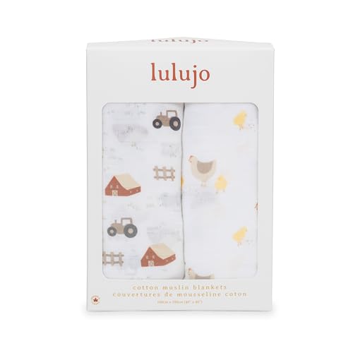 Lulujo Baby Swaddle Dual-layer muslin texture seen in natural light.