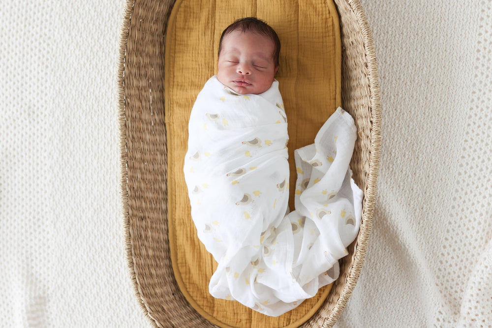 Lulujo Baby Swaddle Machine Washable care guidance for busy parents.