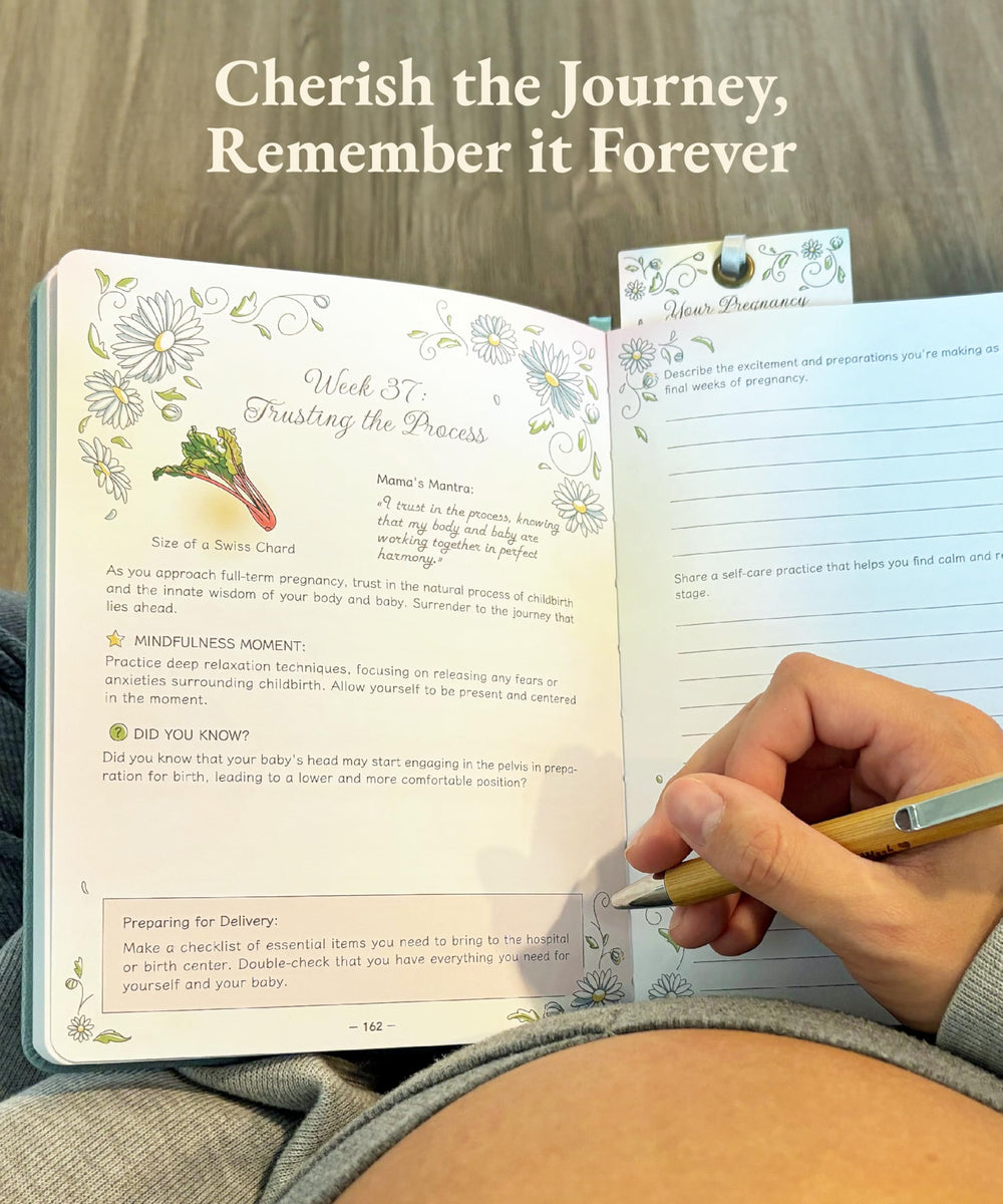 Luminate Press keepsake journal back pocket holds keepsakes and mementos.
