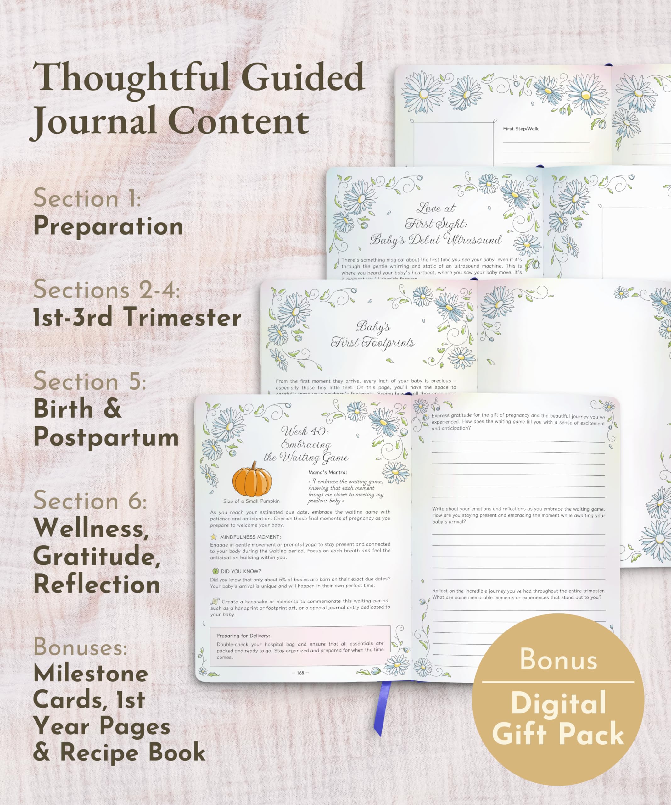 Luminate Press keepsake journal ultrasound spot page highlights cherished keepsake moments.