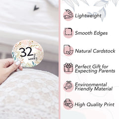 Lumont Baby bump tracker diary; captures weekly progress