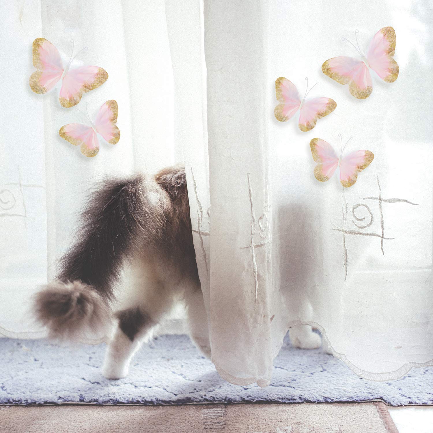 Maitys feather-wings butterfly decals ideal for photo backgrounds and events.