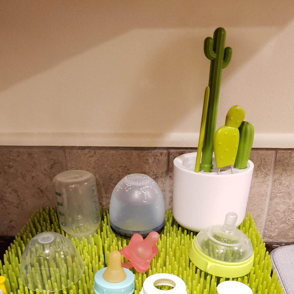 Marsrut cactus vase storage holds brushes neatly and dries water