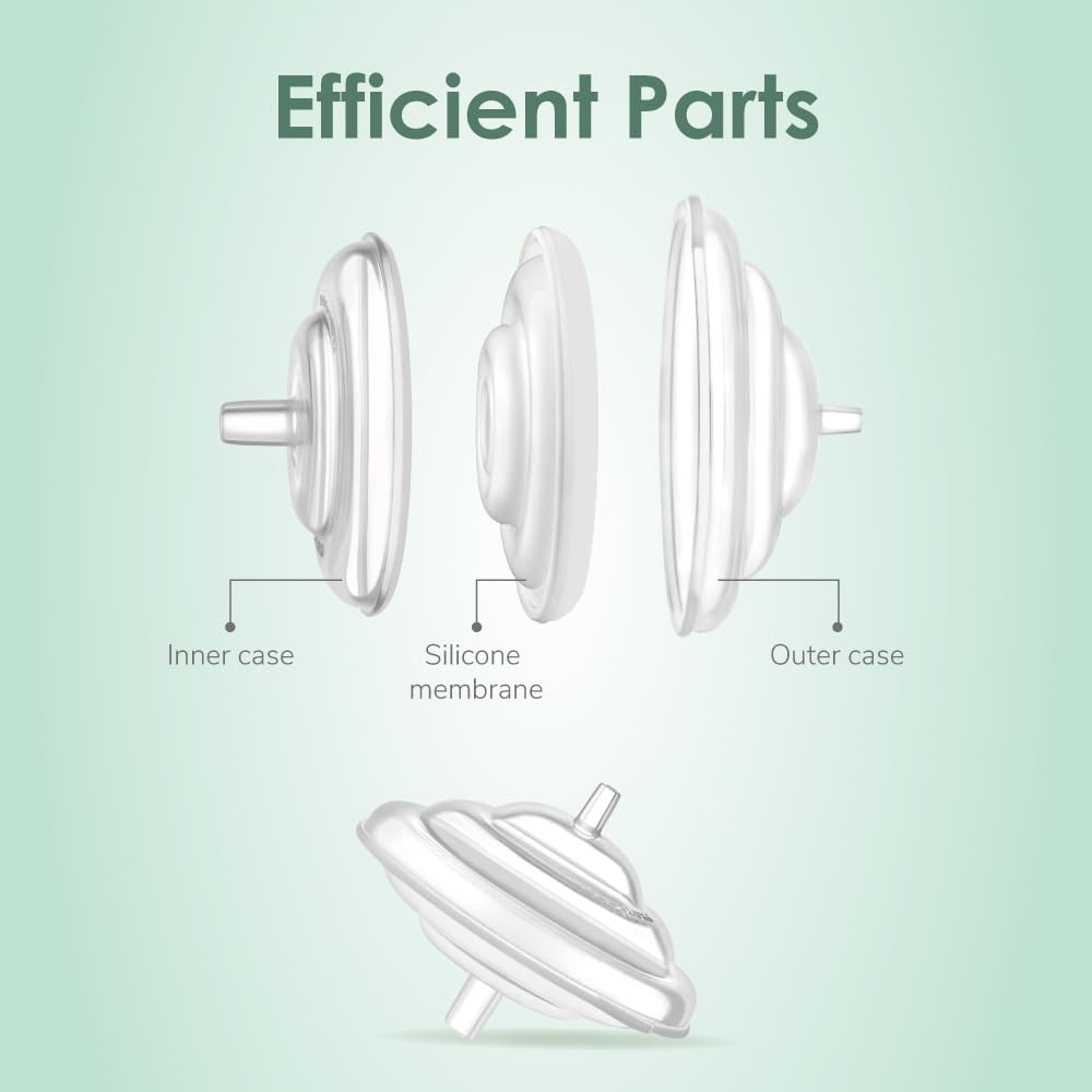 Maymom backflow protector cleaning options including steam and boil methods