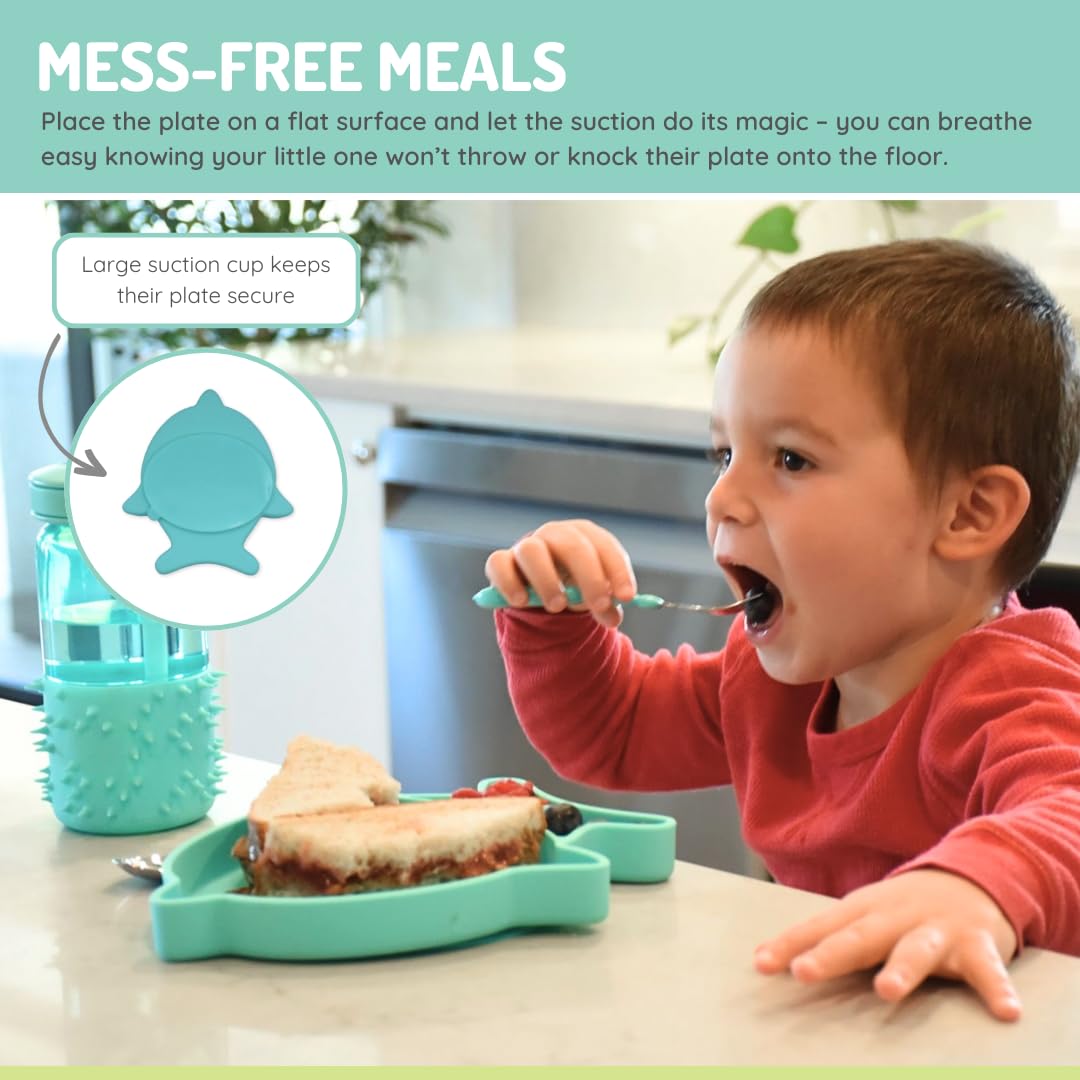 Melii divided silicone suction plate dishwasher safe for easy cleanup after meals