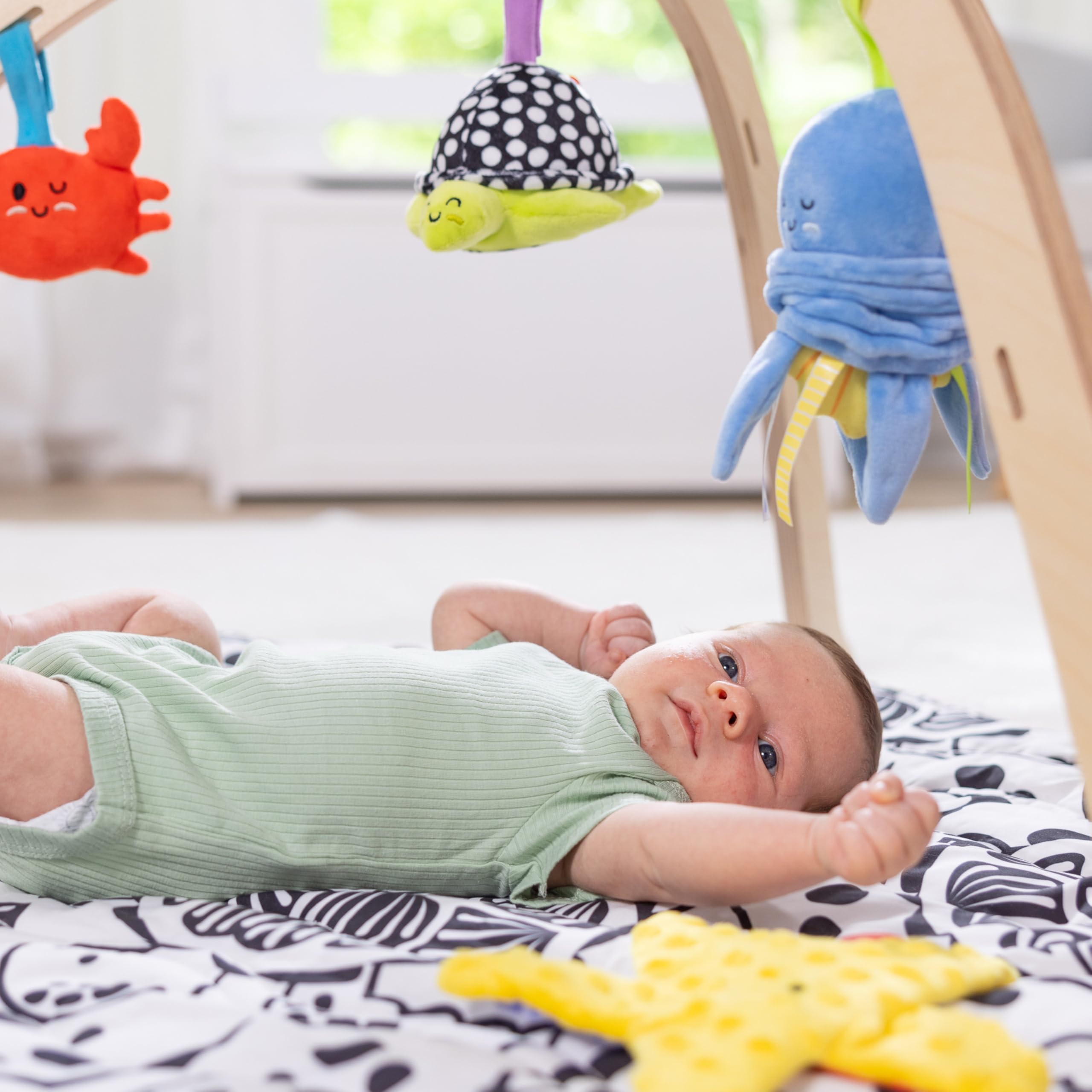Melissa & Doug crinkly sea star toy enhances tactile exploration.