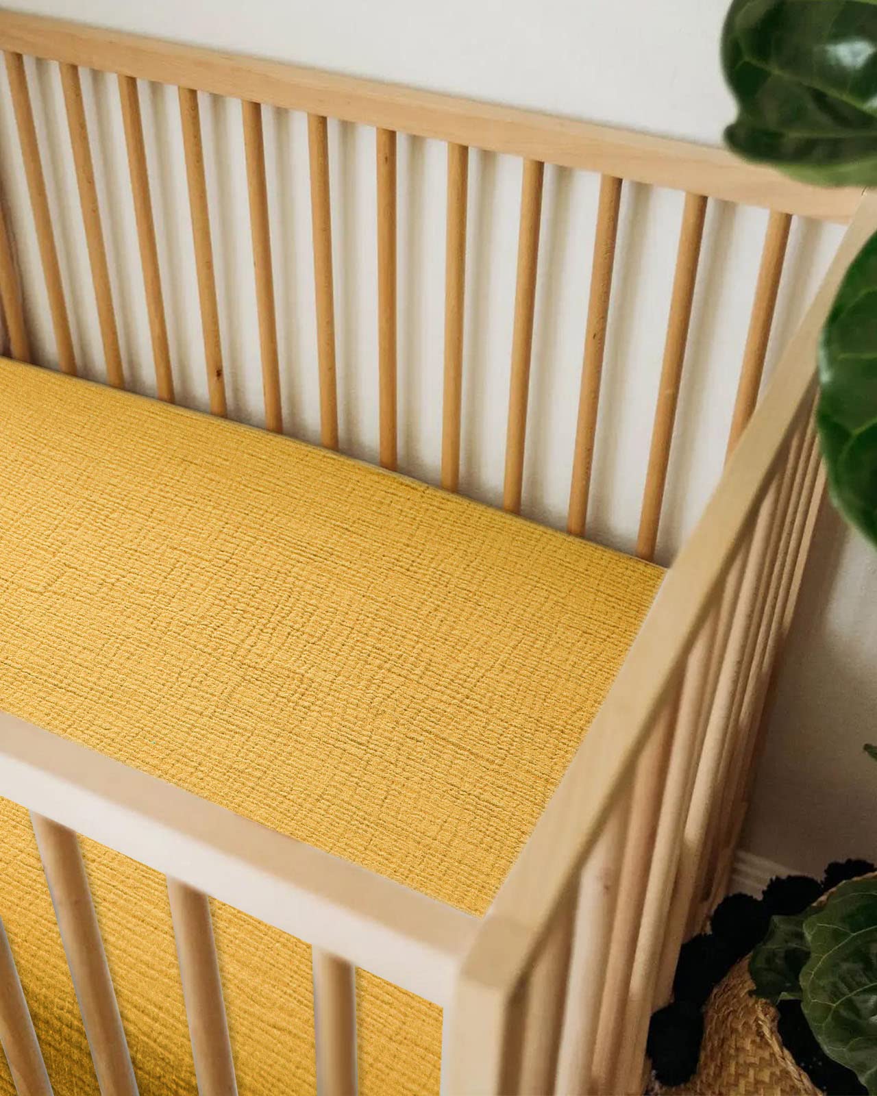Meowcards two-pack supports daily rotation and easy care