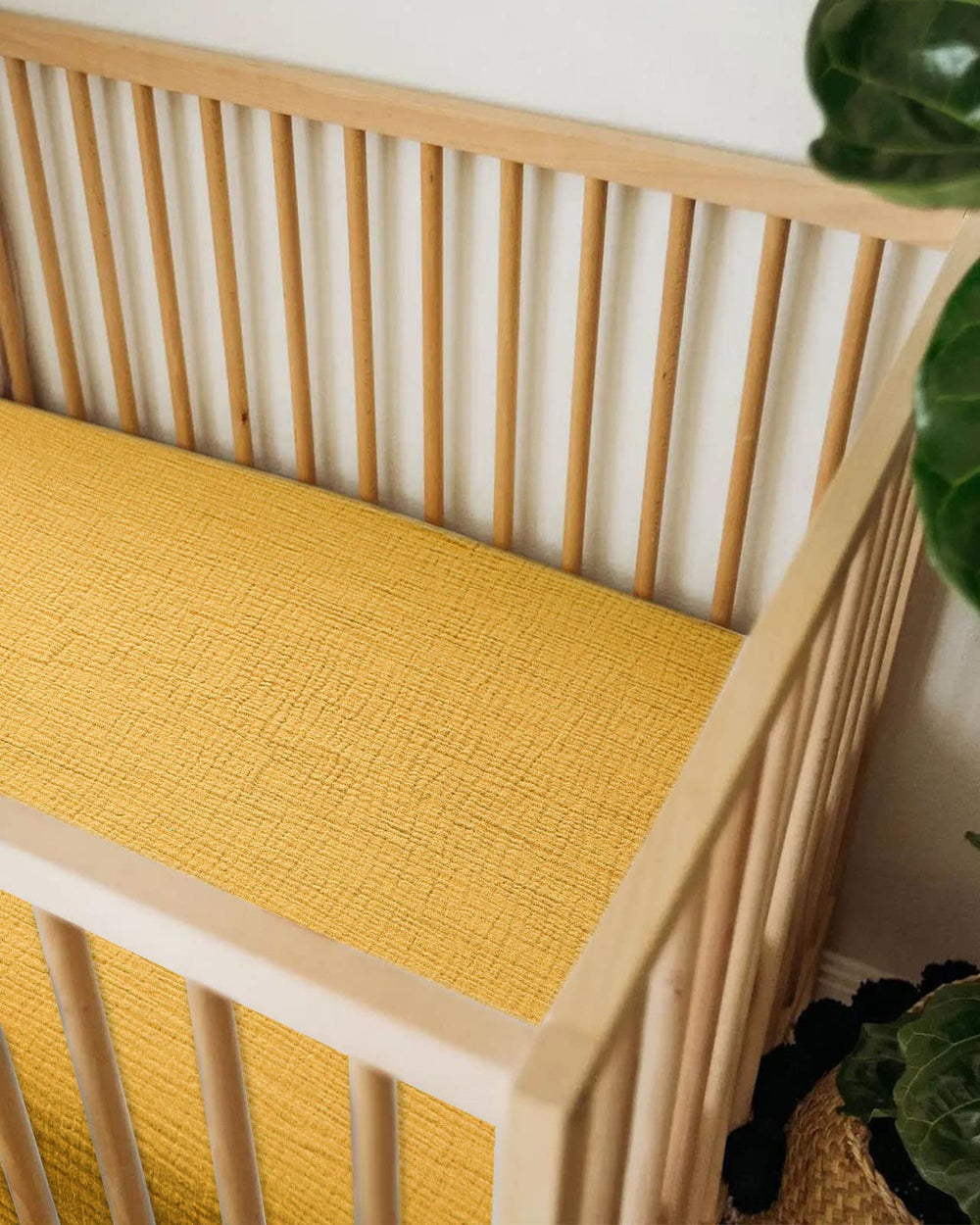 Meowcards two-pack supports daily rotation and easy care