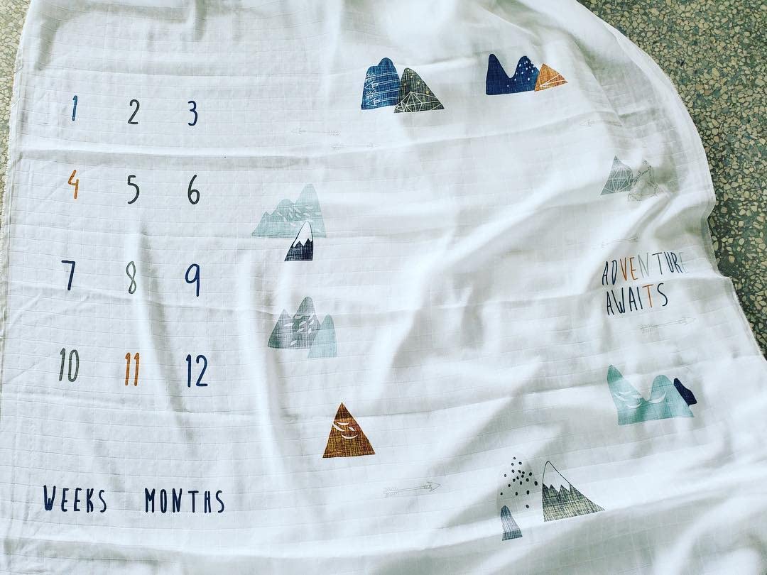 Miaoberry boho mountain print on nursery backdrop