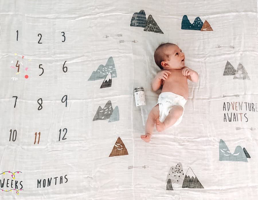 Miaoberry milestone numbers card set for monthly tracking