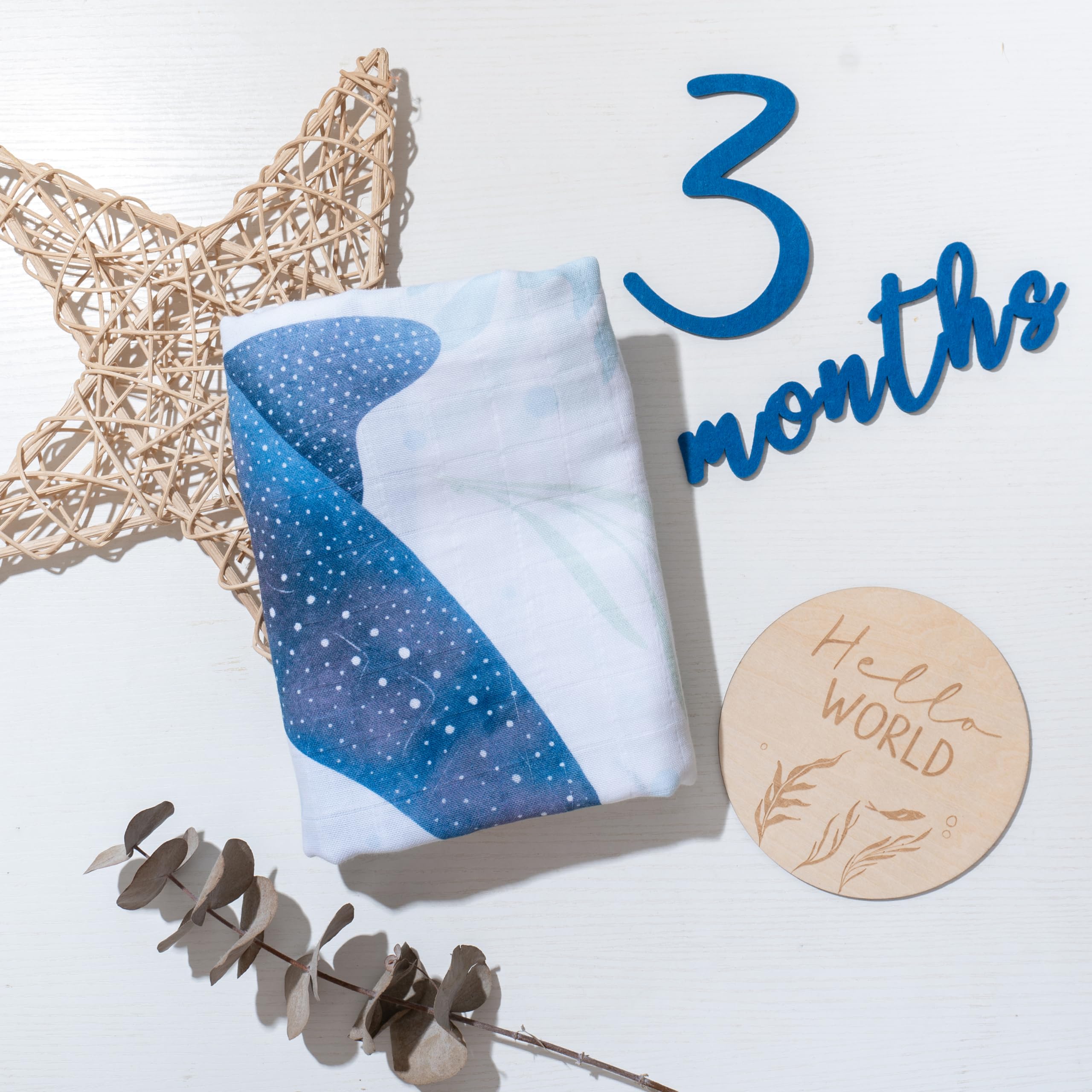 Miaoberry Ocean gift registry essential offers effortless gift-ready milestone photography