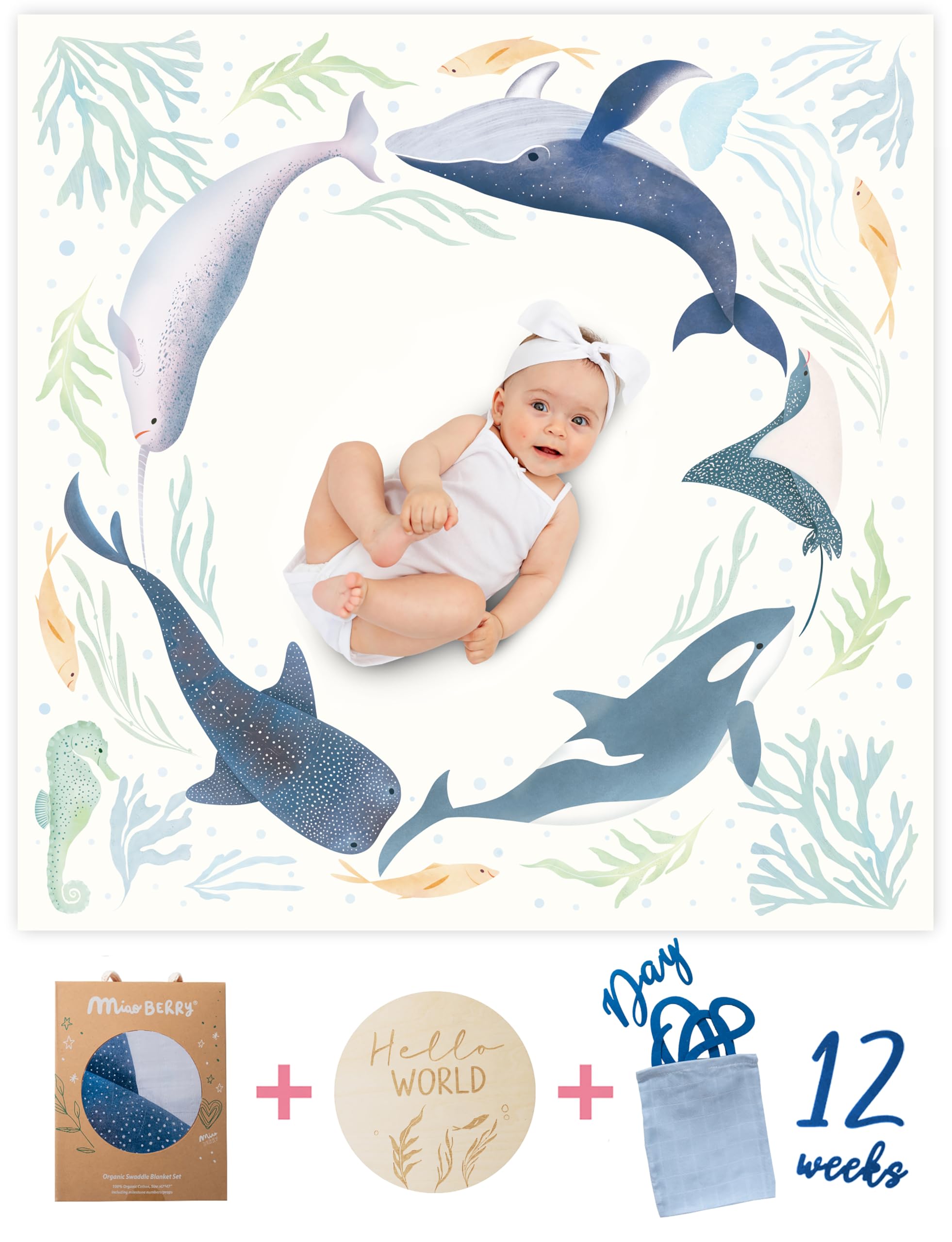 Miaoberry Ocean Hello World sign, a charming prop for announcing baby milestones