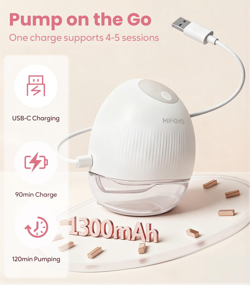 MIFOYO portable pump case shows travel-friendly design.