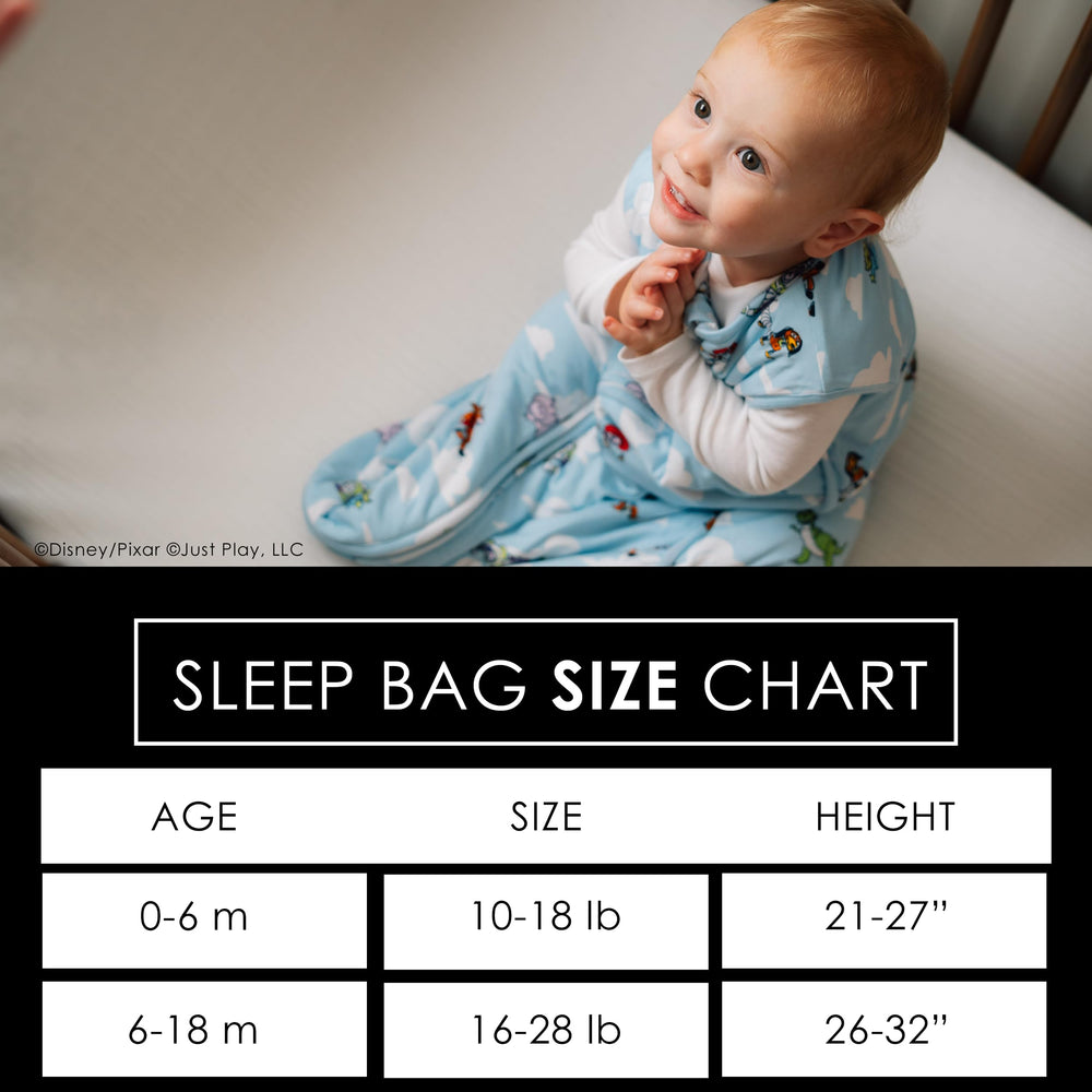 Milk Snob Disney sleeping sack gift packaging ready for baby showers.