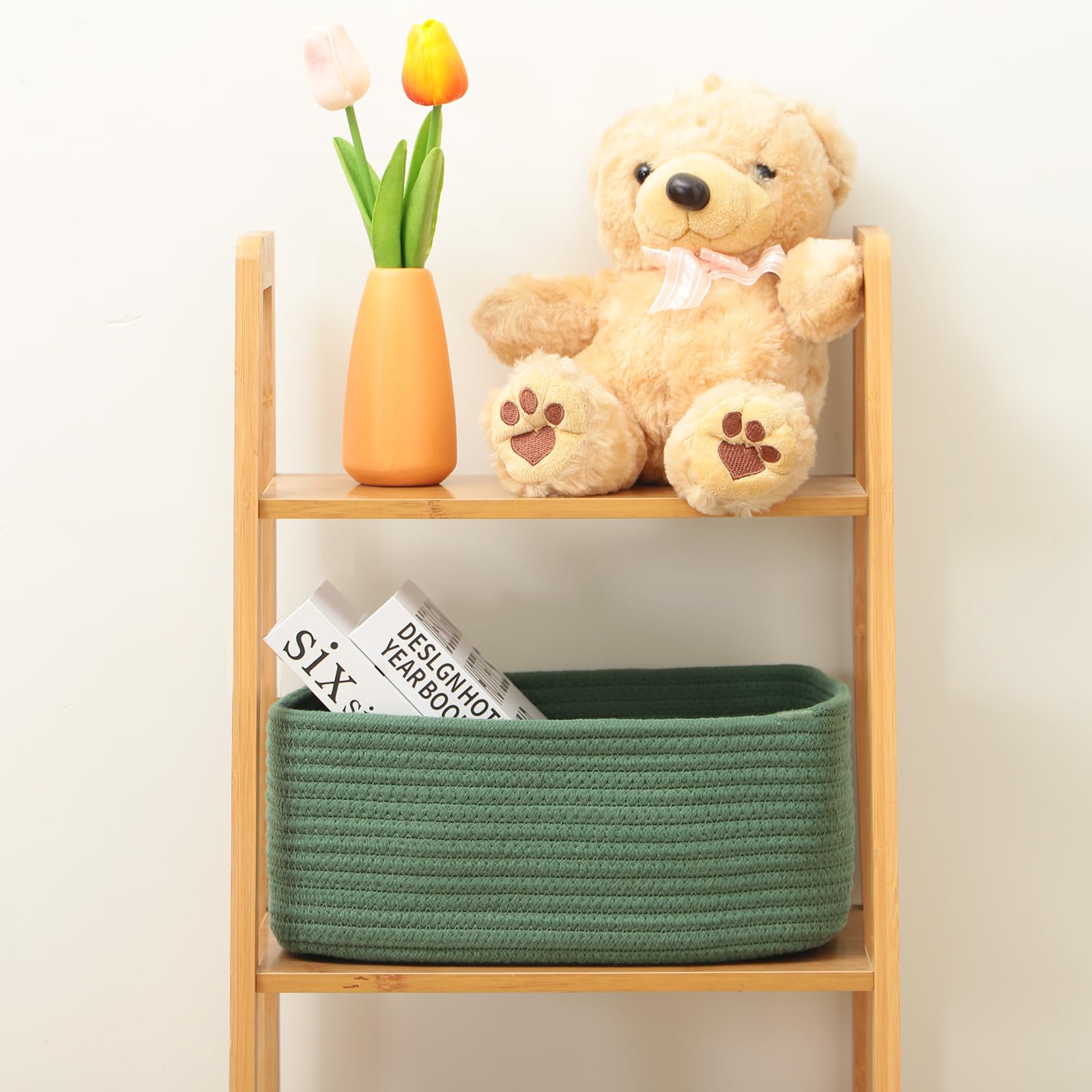 MiniArk decorative cube box green blends style and organization on shelves.