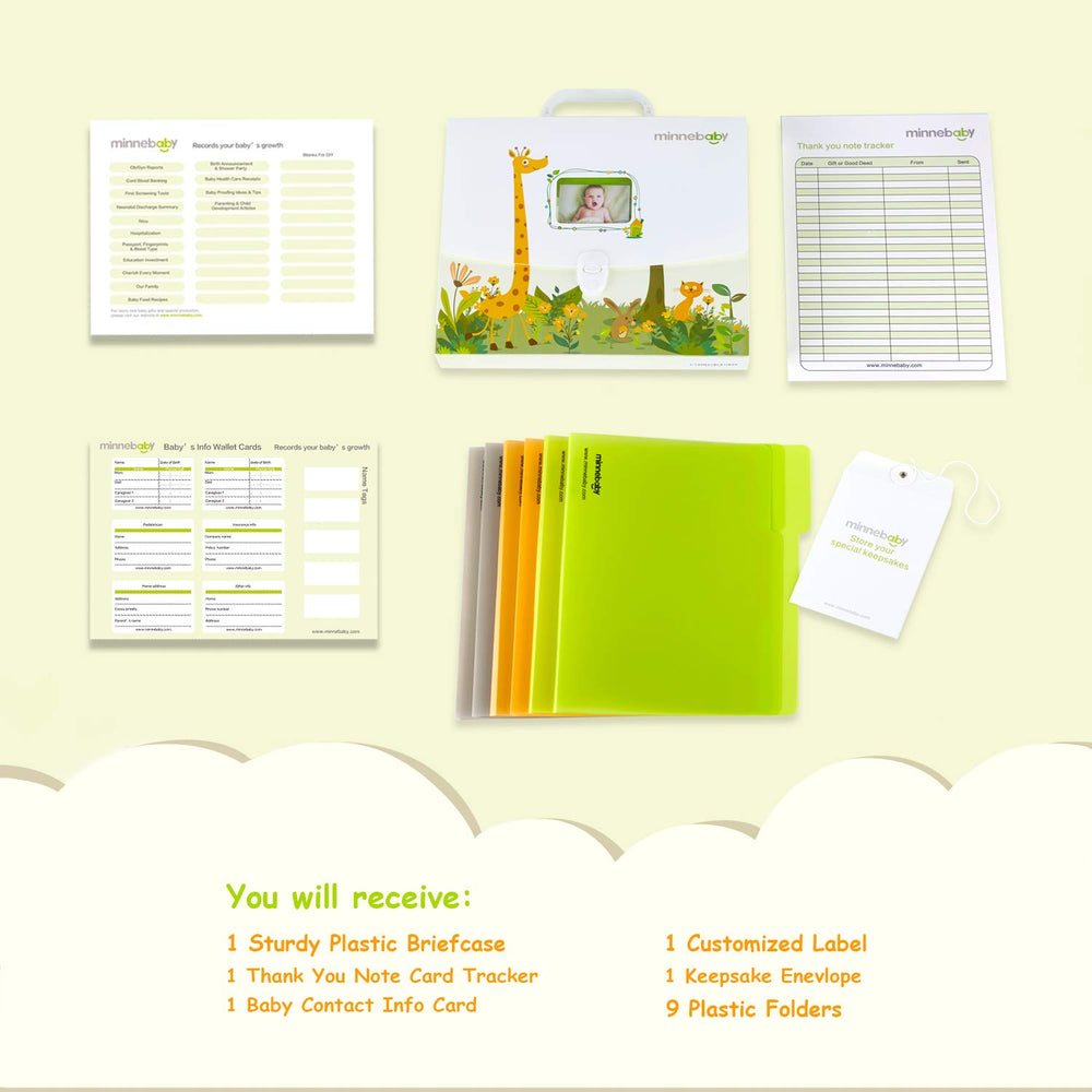 Minne baby document organizer inside folders highlights six classified and three blank folders for easy sorting.