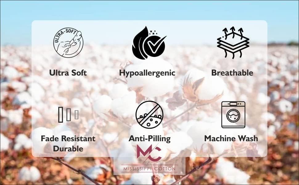 Mississippi Cotton 12-pack packaging image reinforces steady supply for busy classrooms