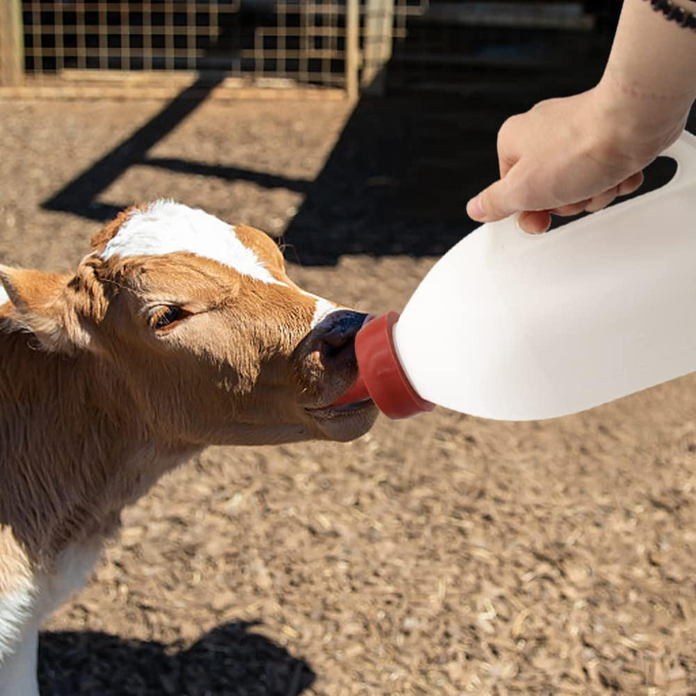 MODUODUO 2.11 quart bottle ideal for calves during nursing sessions
