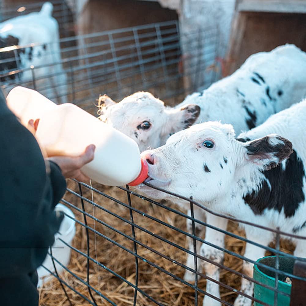 MODUODUO bottle pour design aids controlled milk feeding for calves