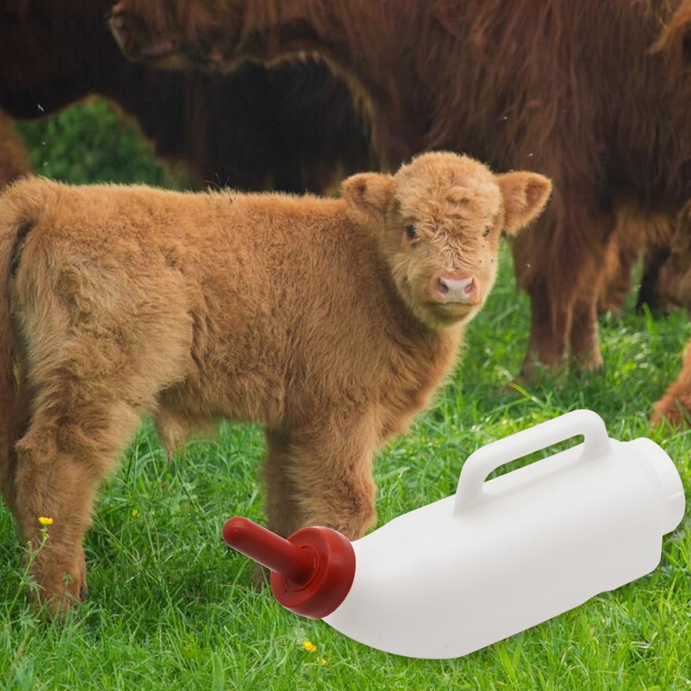 MODUODUO bottle mounted on coop demonstrates a secure feeding setup.