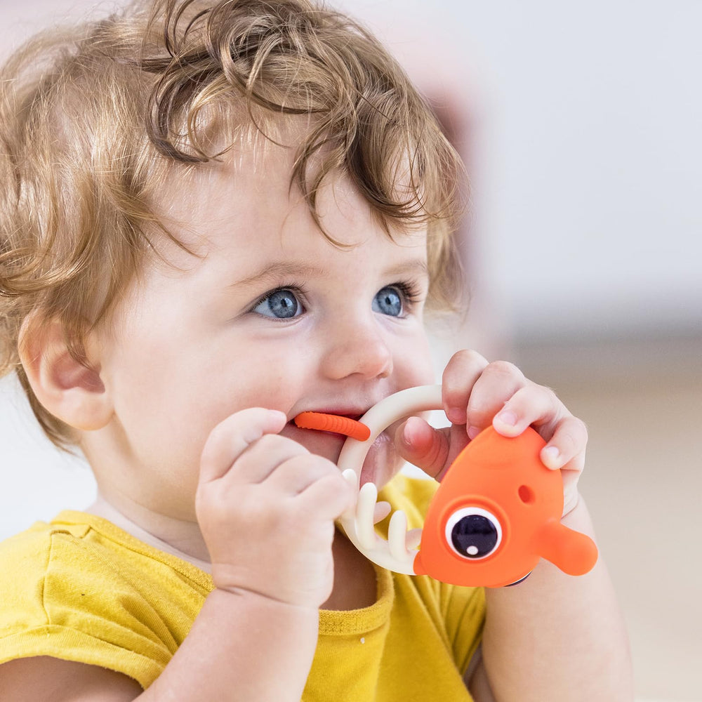 Mombella clownfish face close-up shows bright color for engaging teething play.
