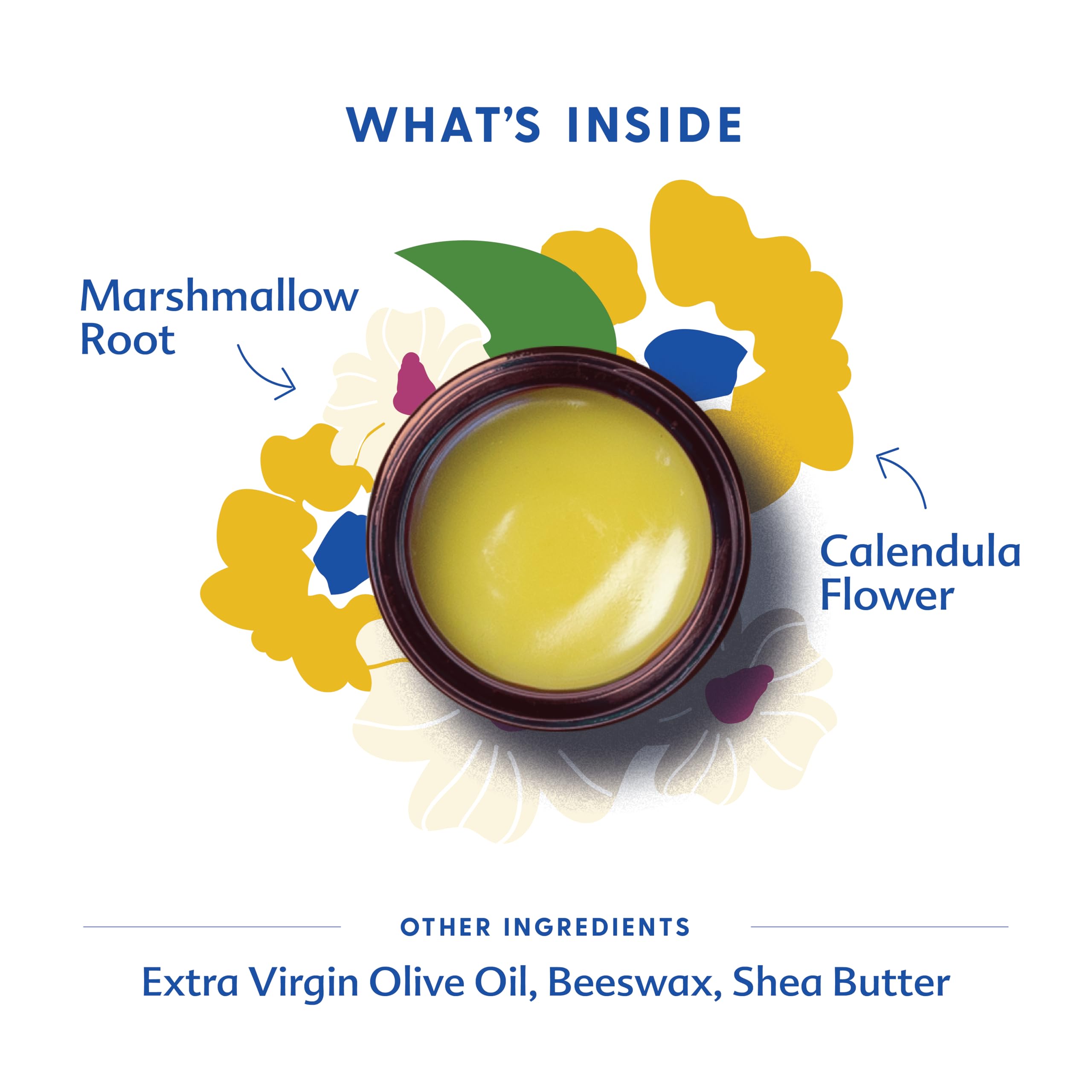 Motherlove Nipple Cream ingredients scene emphasizing olive oil, beeswax, calendula for skin moisture.