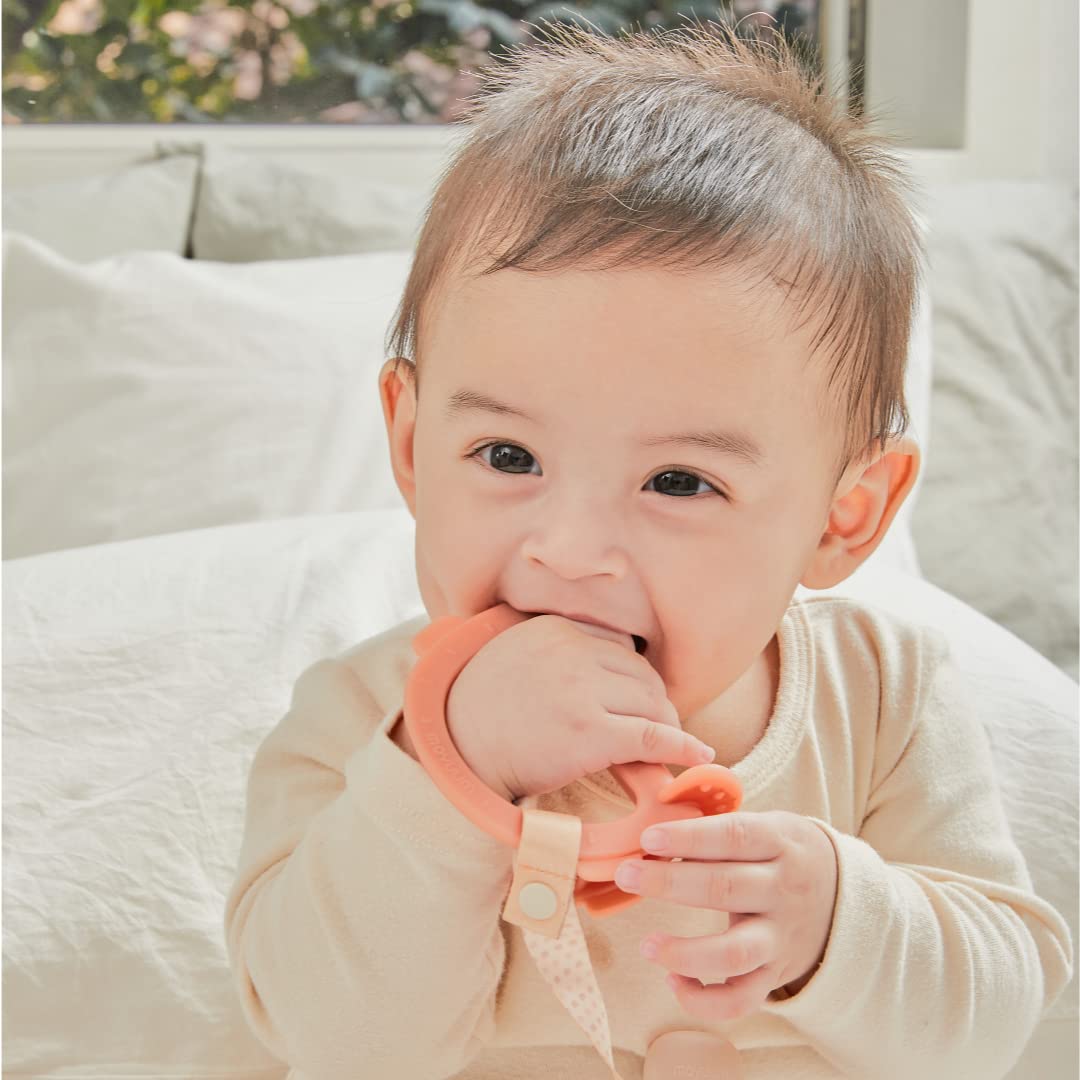 MOYUUM silicone swing bird teether clean-base stands upright between uses
