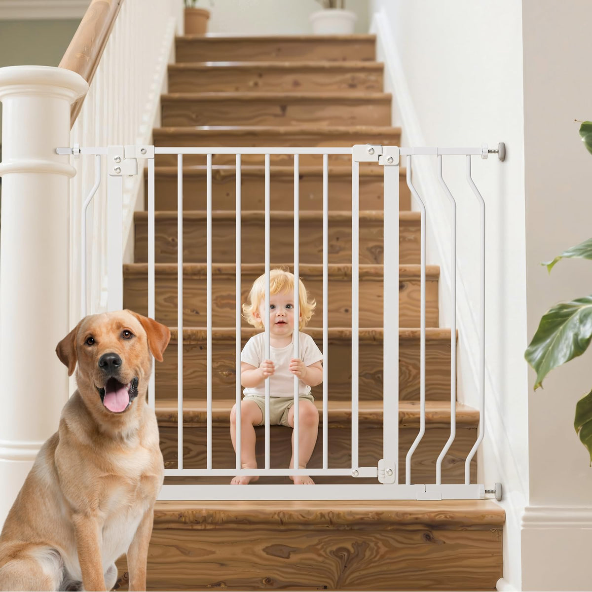 Mutak baby gate 29-43 wide doorway with clear passage for easy baby handling.