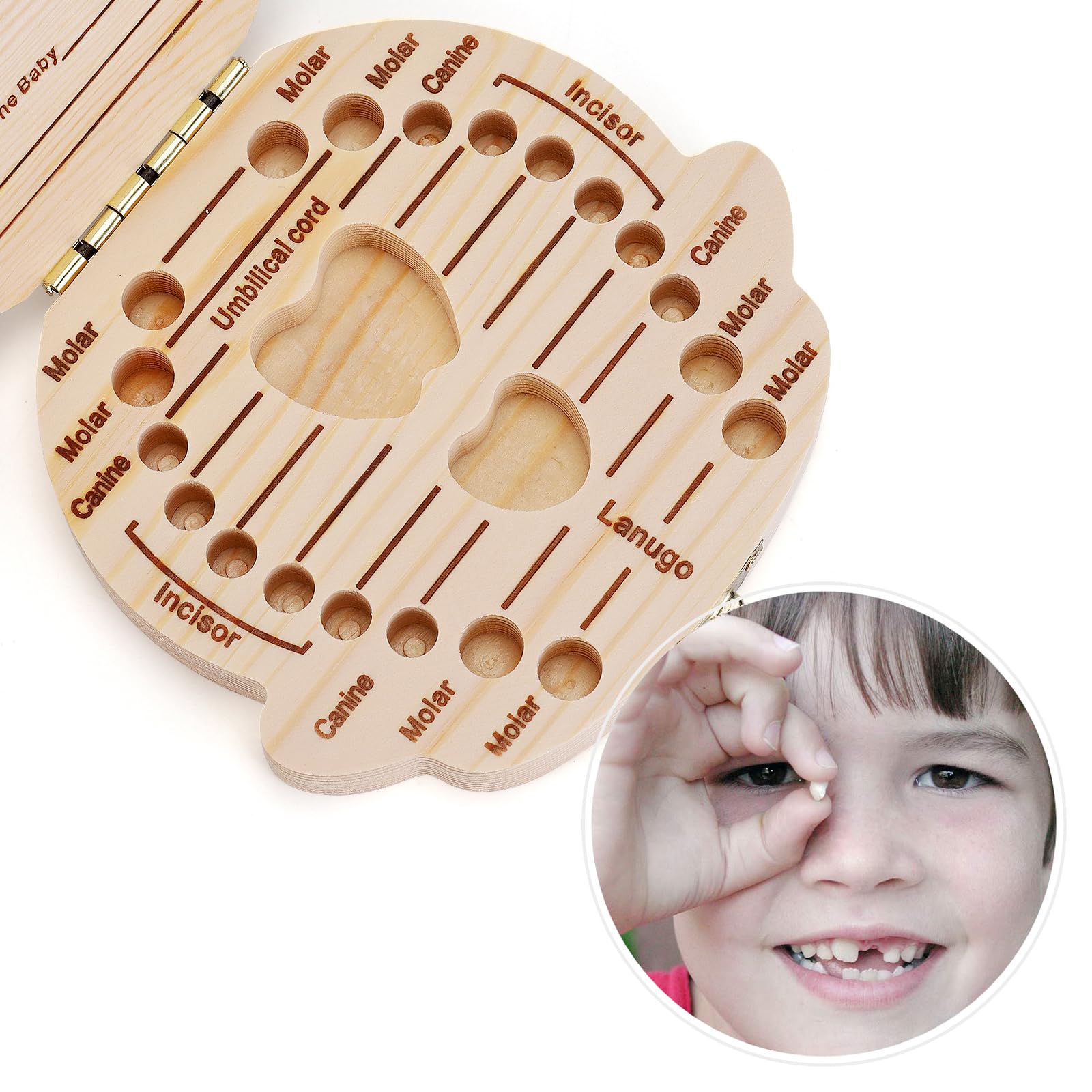 NASHRIO box with tweezers for gentle tooth placement.
