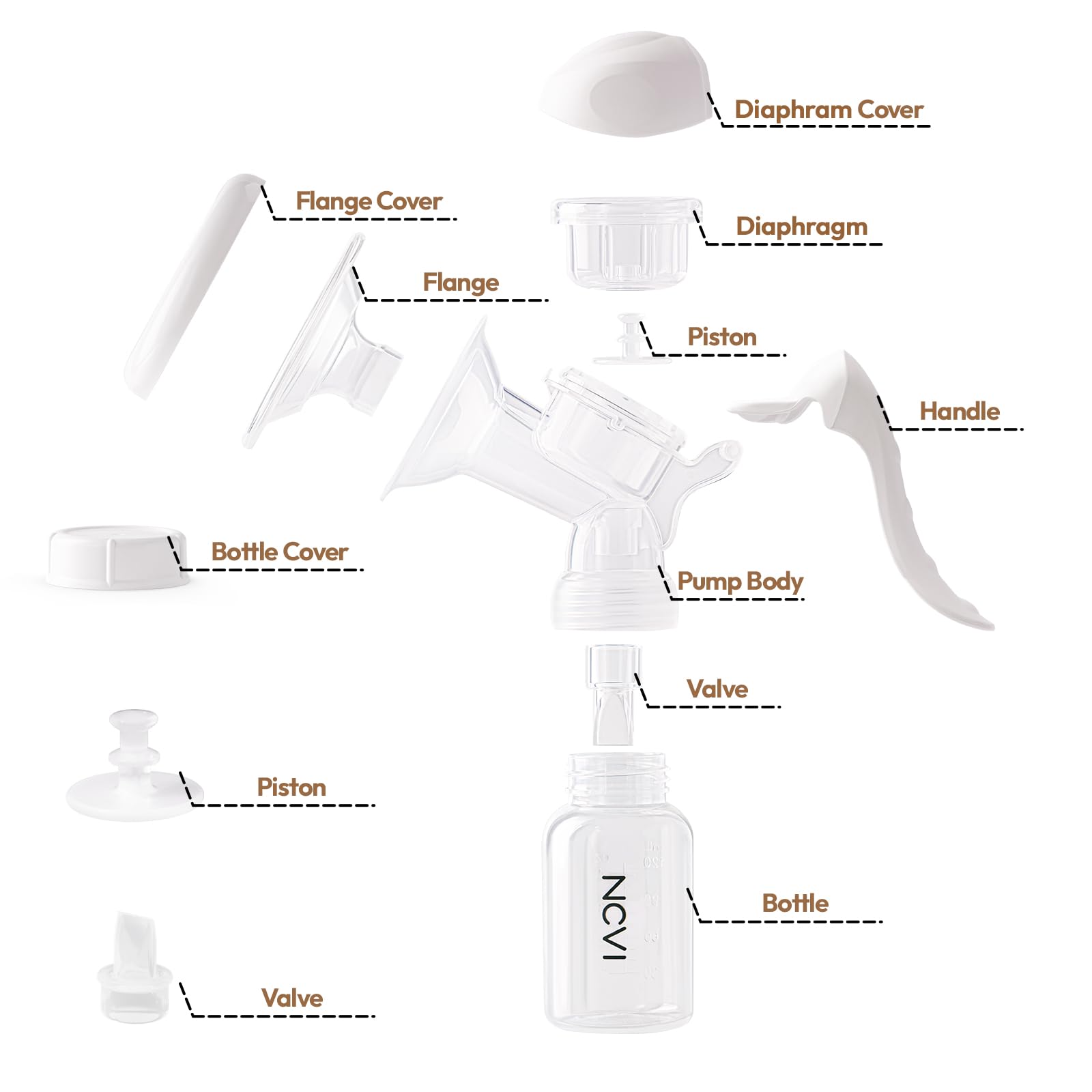 NCVI back-flow protection helps keep milk clean during pumping.