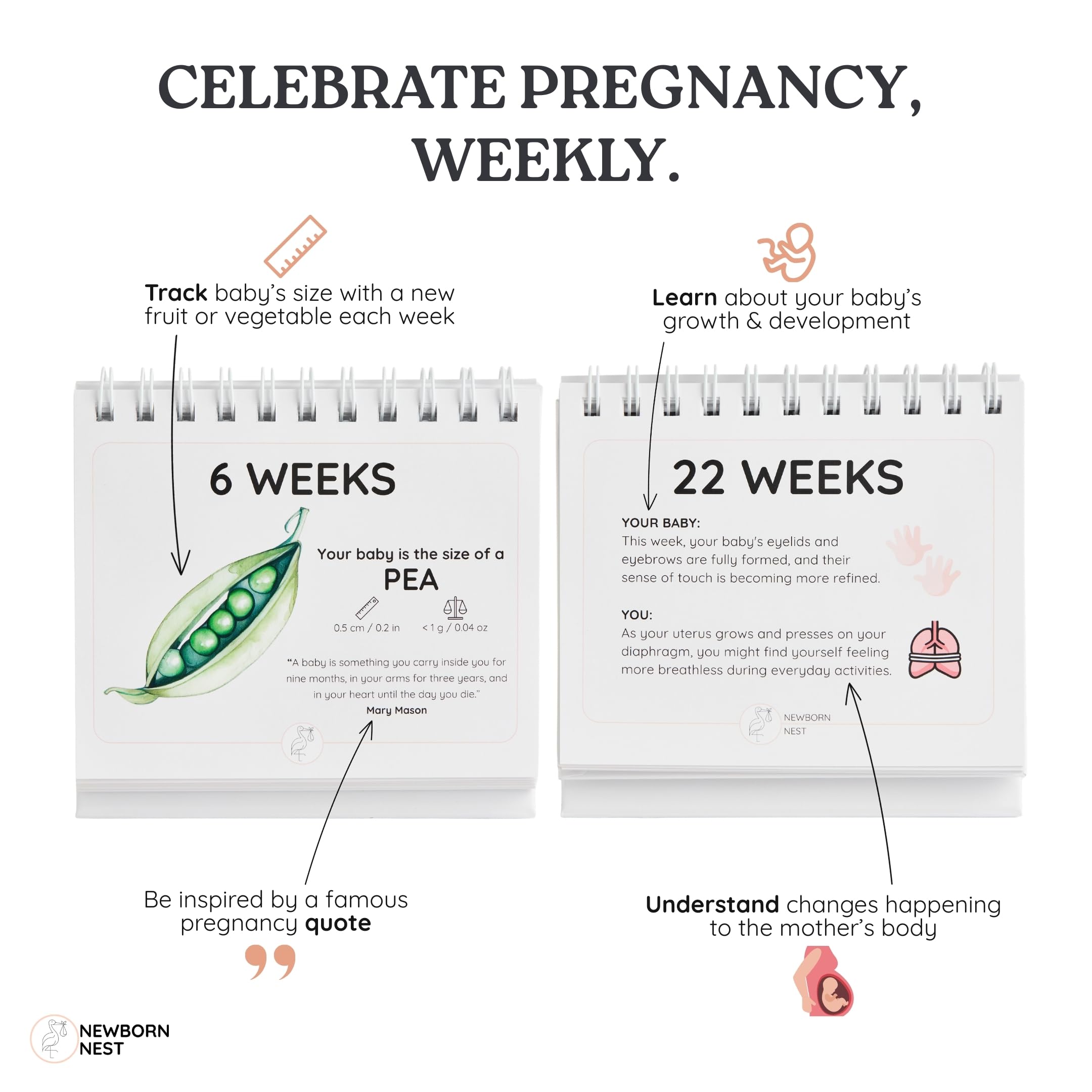 Newborn Nest 72-page flip calendar displayed on desk or nightstand