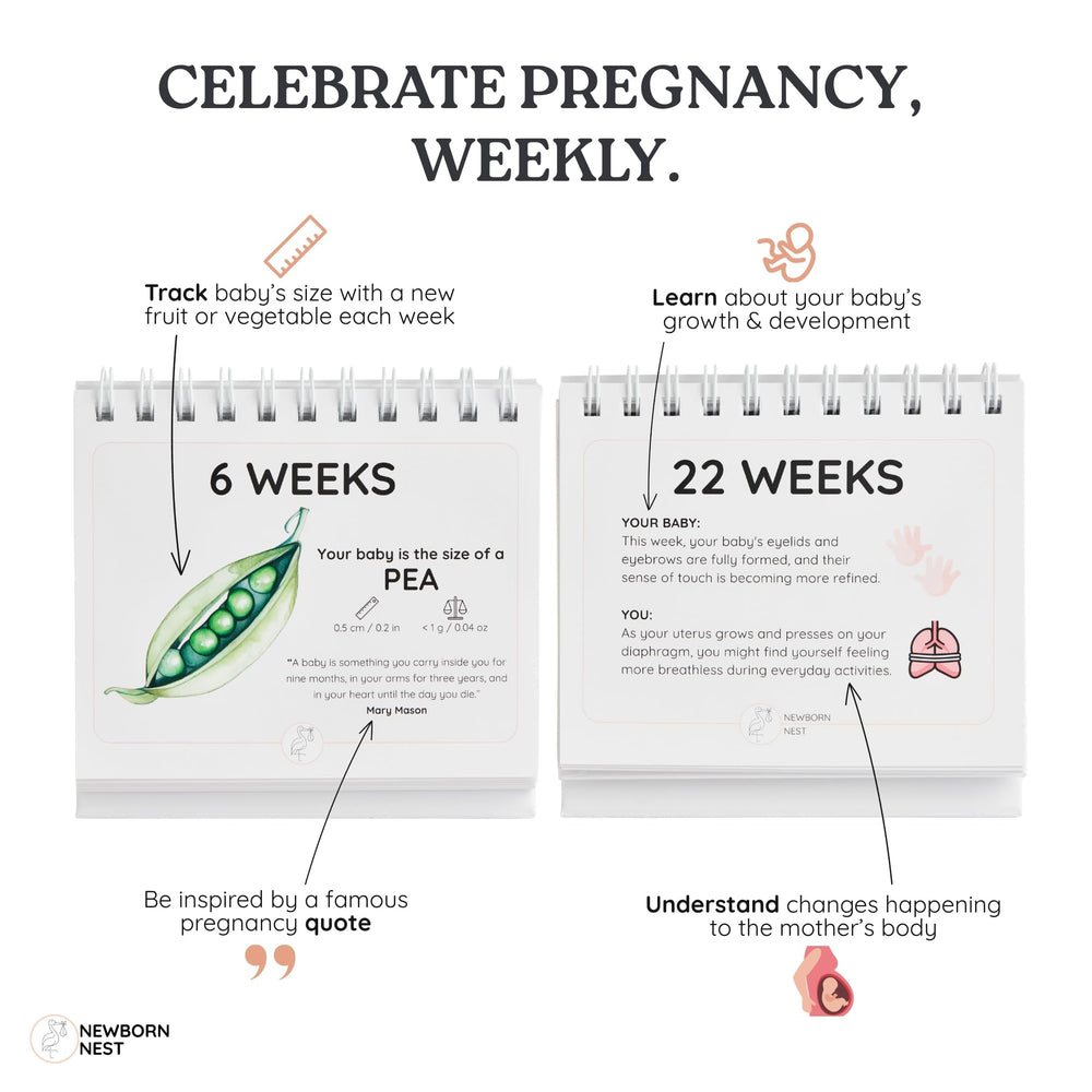 Newborn Nest 72-page flip calendar displayed on desk or nightstand