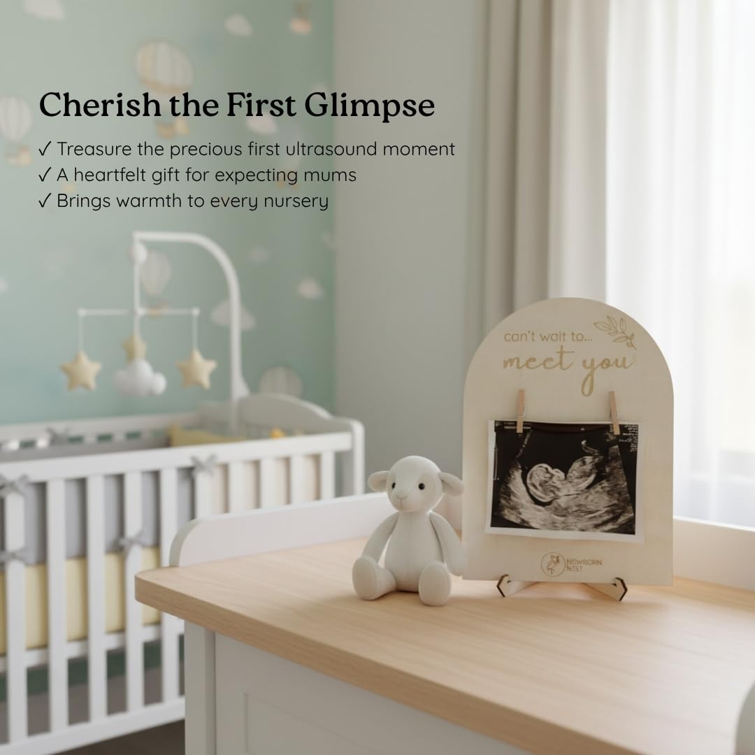Newborn Nest canvas bag storage protects the frame when not on display.