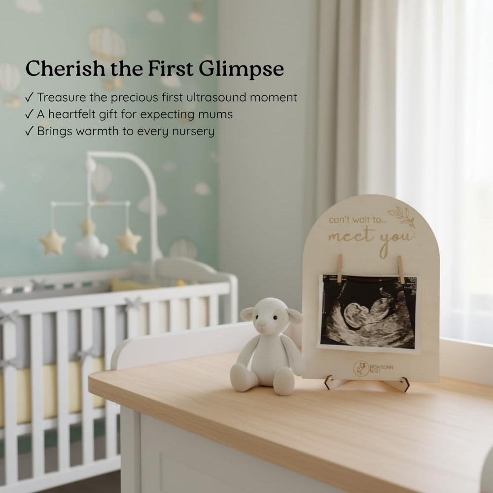 Newborn Nest canvas bag storage protects the frame when not on display.