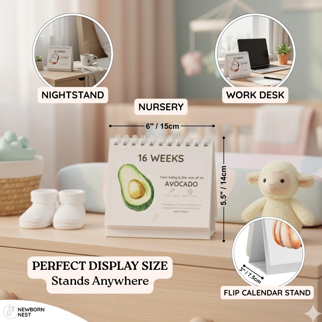 Newborn Nest pregnancy calendar gift packaging ideal for first-time parents