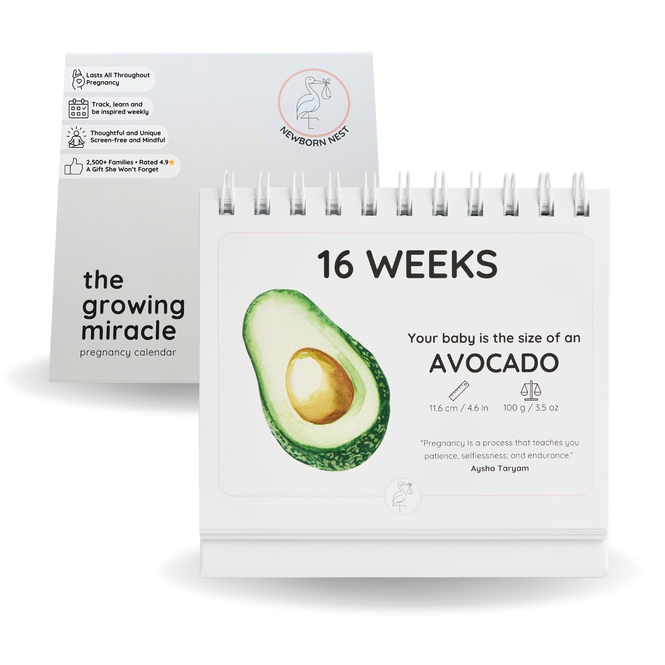 Newborn Nest weekly growth tracker with fruit illustrations for screen-free pregnancy monitoring