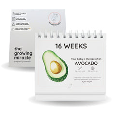 Newborn Nest weekly growth tracker with fruit illustrations for screen-free pregnancy monitoring