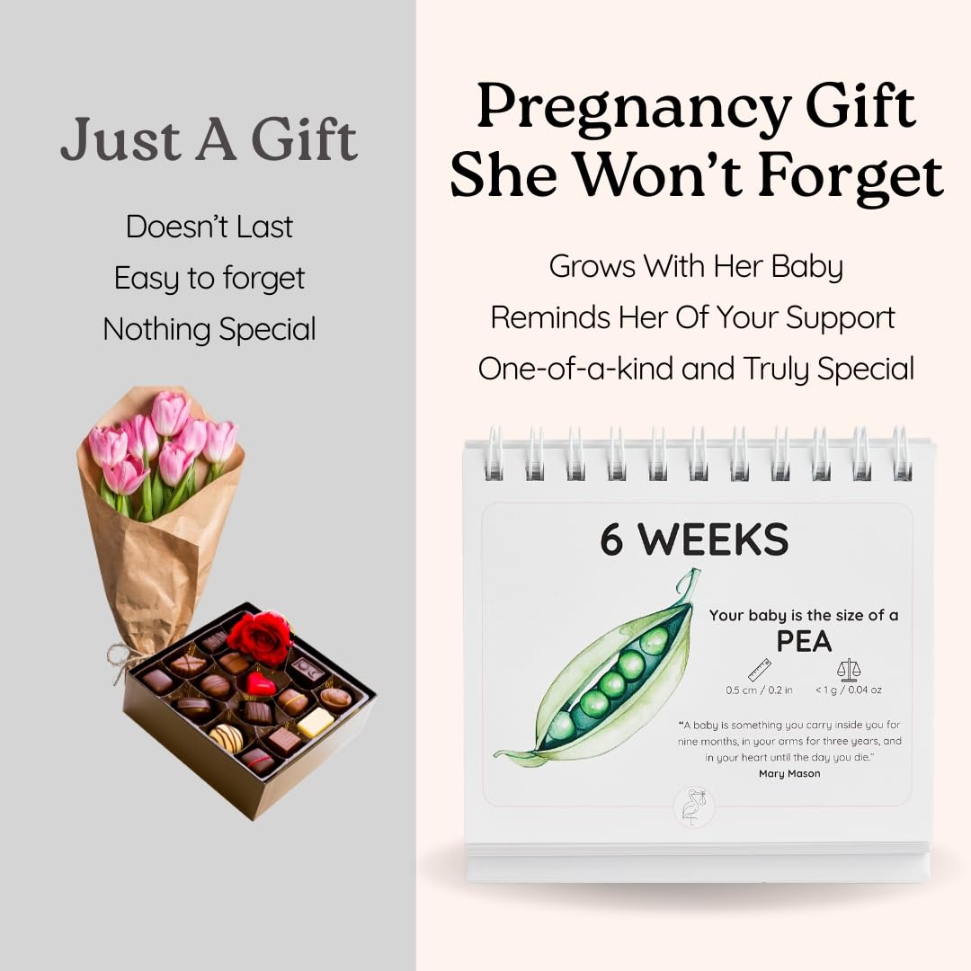 Newborn Nest 6 to 40 weeks highlight calendar pages
